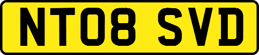 NT08SVD