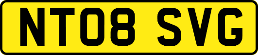 NT08SVG