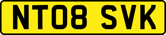 NT08SVK