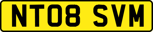NT08SVM