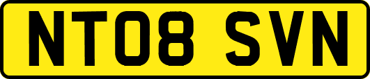 NT08SVN