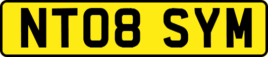 NT08SYM