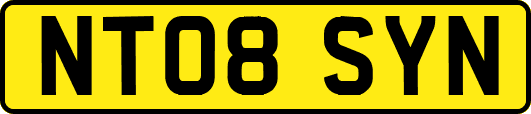 NT08SYN