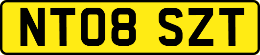 NT08SZT
