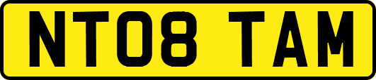 NT08TAM
