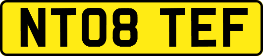 NT08TEF