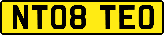 NT08TEO