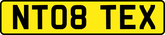 NT08TEX