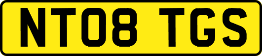NT08TGS