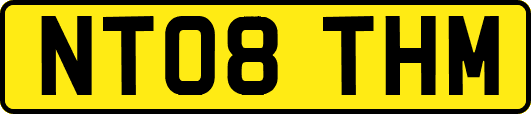 NT08THM