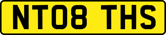 NT08THS