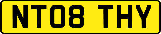 NT08THY