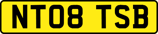 NT08TSB