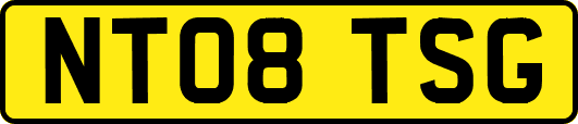 NT08TSG