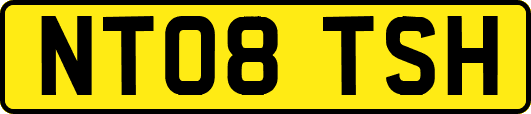 NT08TSH