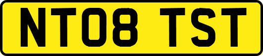 NT08TST