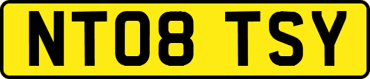 NT08TSY