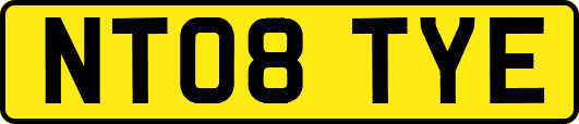 NT08TYE