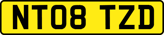 NT08TZD
