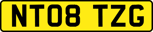 NT08TZG