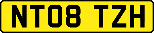 NT08TZH