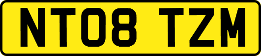 NT08TZM