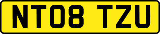 NT08TZU