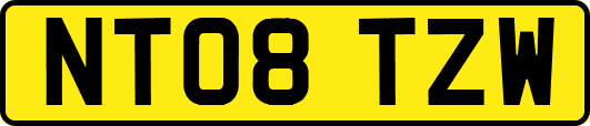 NT08TZW