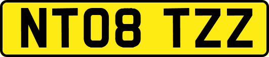 NT08TZZ