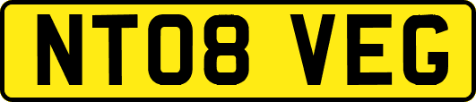 NT08VEG