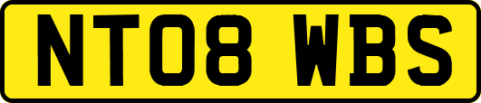 NT08WBS