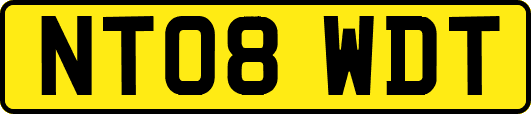 NT08WDT