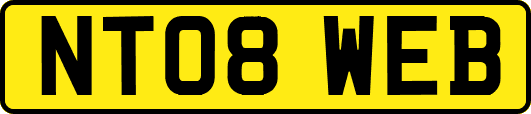 NT08WEB