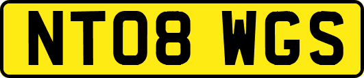 NT08WGS