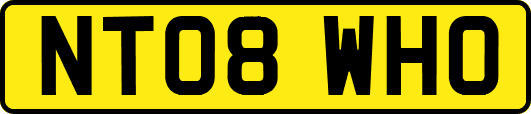 NT08WHO