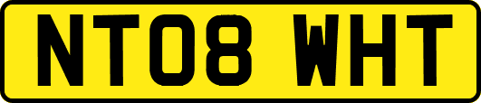 NT08WHT