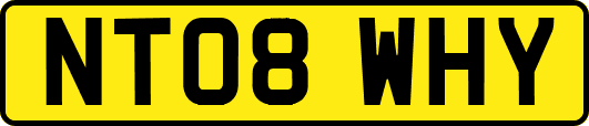 NT08WHY
