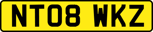 NT08WKZ
