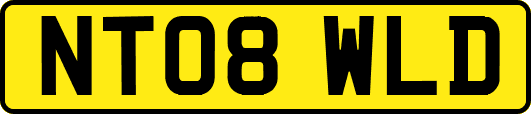 NT08WLD