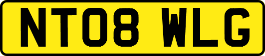 NT08WLG