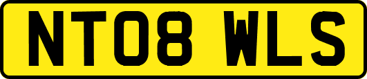 NT08WLS