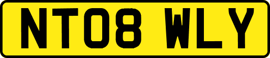 NT08WLY