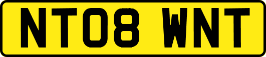 NT08WNT