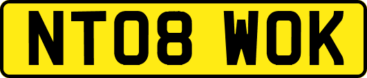 NT08WOK