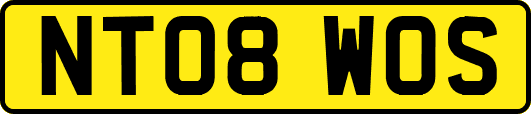 NT08WOS