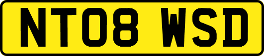 NT08WSD