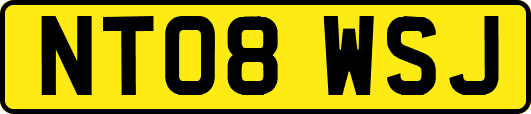 NT08WSJ