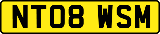 NT08WSM