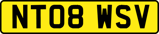 NT08WSV
