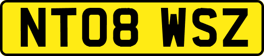 NT08WSZ